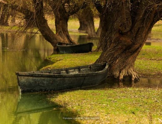 Lower Prut" (Prutul de Jos) Nature Reserve - Boats on the Prut River shore