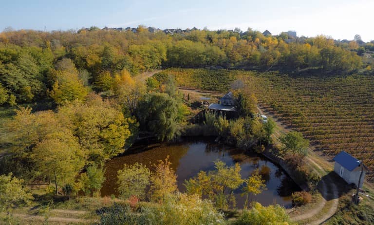 Pensiunea "Popasul Vânătorului" - lac