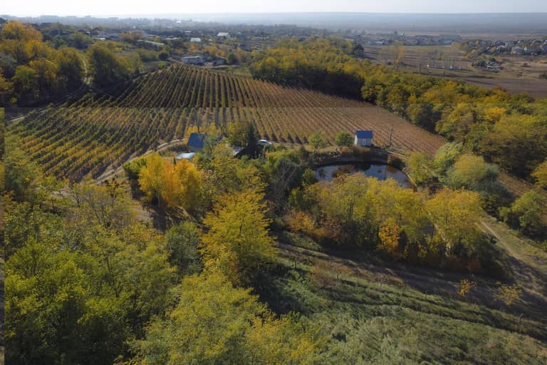 Pensiunea "Popasul Vânătorului" - camp