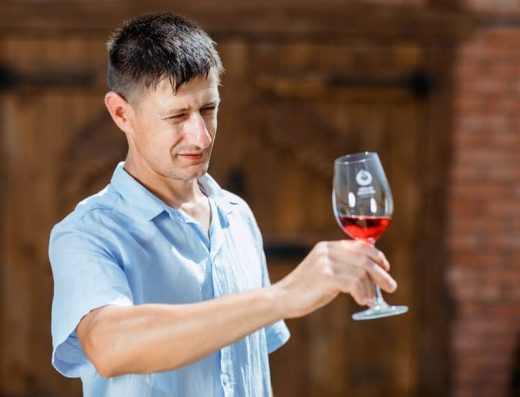 Domeniile Pană - Cramă Moldova, Cahul, Slobozia Mare - expertiză în vin