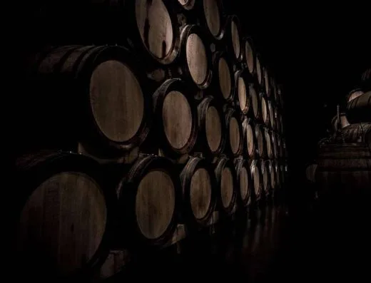 Corbu Winery - Cramă Cahul, Văleni - butoaie de vin