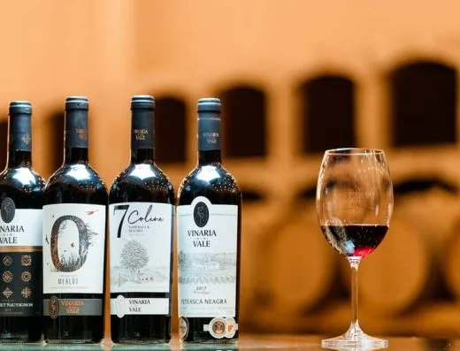 Vinăria din Vale, vinărie Cahul, Slobozia Mare - Sticle de vin